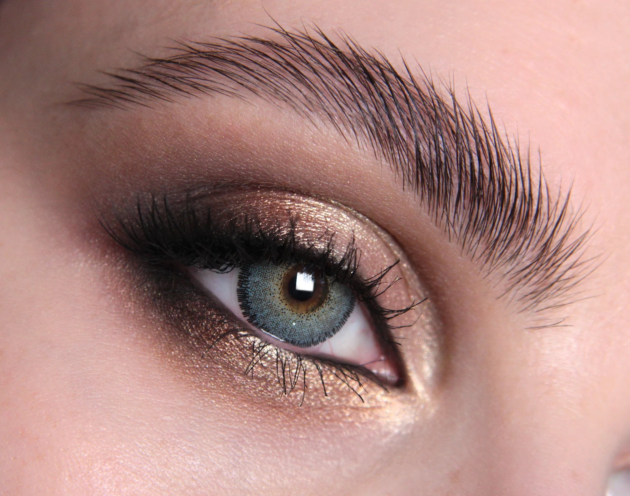 Blue Swan Colored Contact Lenses - British Elegance, EU Certified, Safe 8-Hour Wear, 45% Water Content (Pair)