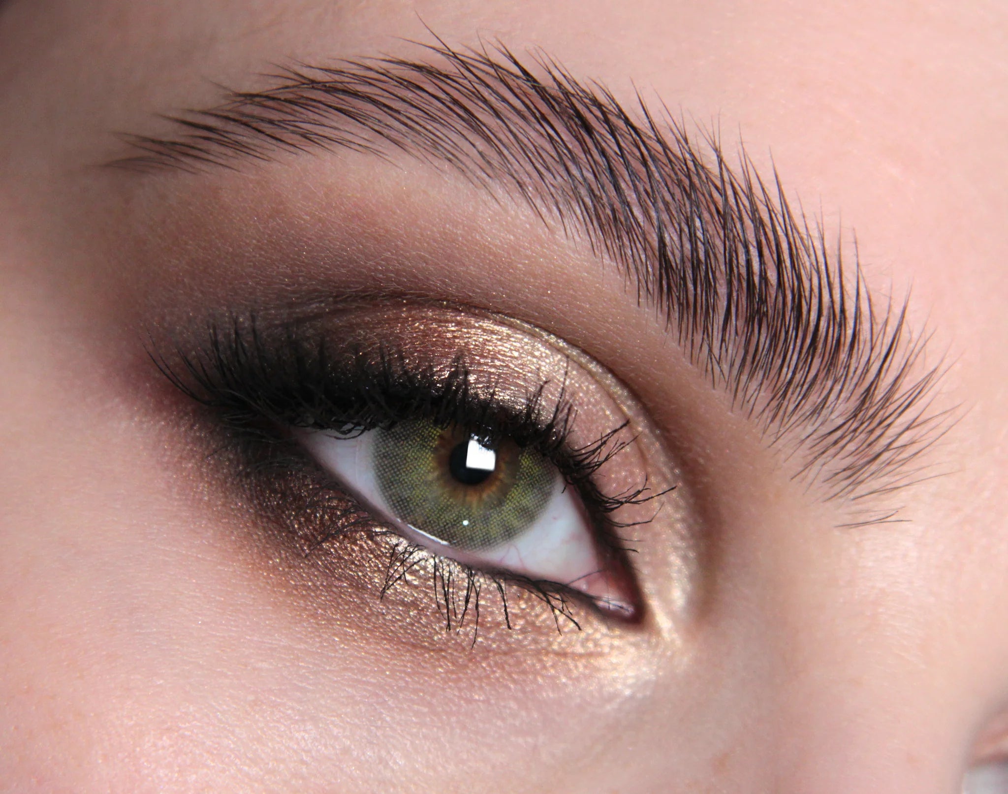 Winter Fern Contact Lenses Serene Beauty with British Craftsmanship