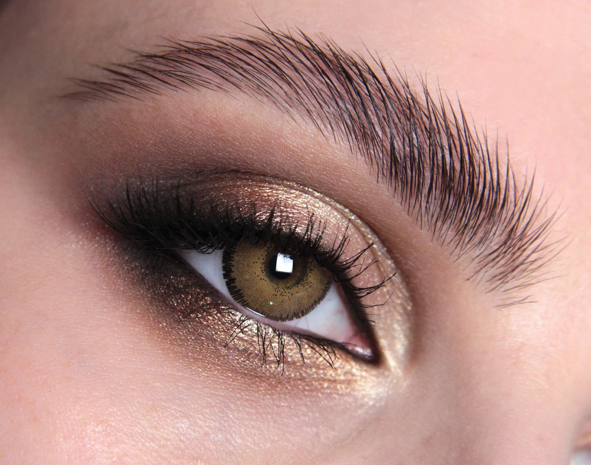 English Oak Colored Contact Lenses - Natural Earthy Charm, Premium British Quality, Safe 8-Hour Wear, 45% Water Content (Pair)